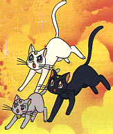 catfamily.gif (32243 bytes)